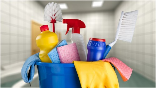 Local carpet cleaner working in a central London property