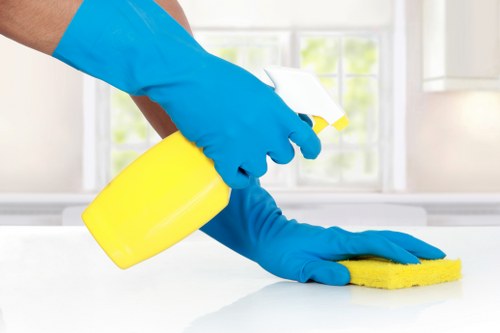 Carpet cleaning technician preparing a professional service appointment