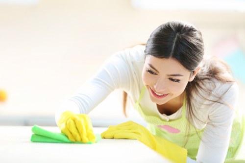 Flexible local cleaning service for EC2 homes and workplaces