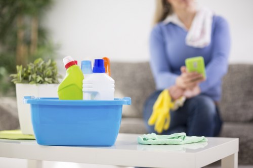 Regular home cleaning support for EC2 residents