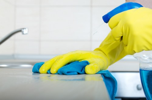 Regular home cleaning in a compact EC2 flat with city views