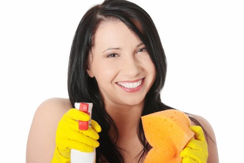 Professional carpet cleaner reviewing service details on site