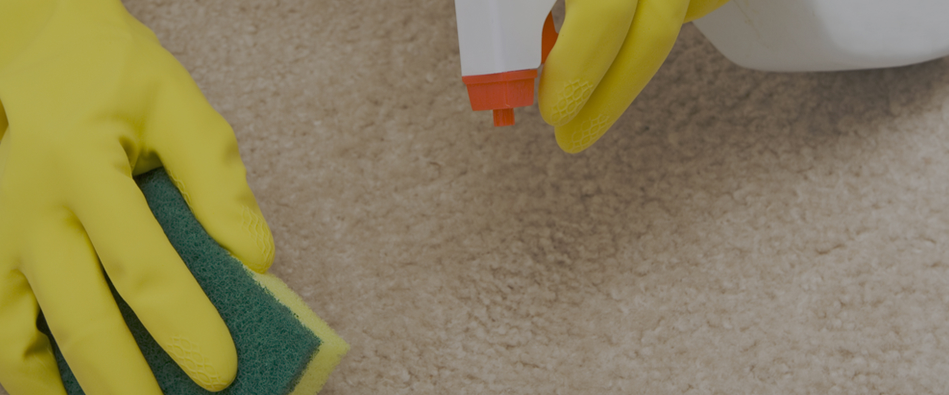 Carpet Cleaning EC2